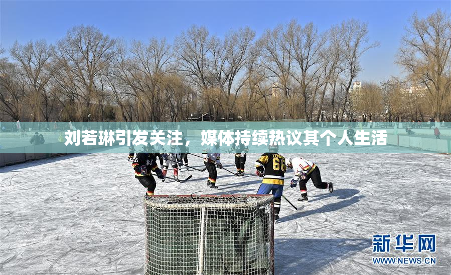 刘若琳引发关注，媒体持续热议其个人生活