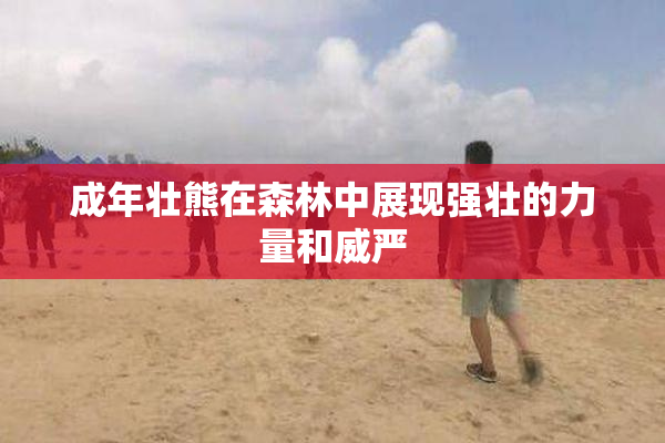 成年壮熊在森林中展现强壮的力量和威严