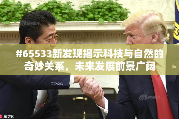 #65533新发现揭示科技与自然的奇妙关系，未来发展前景广阔