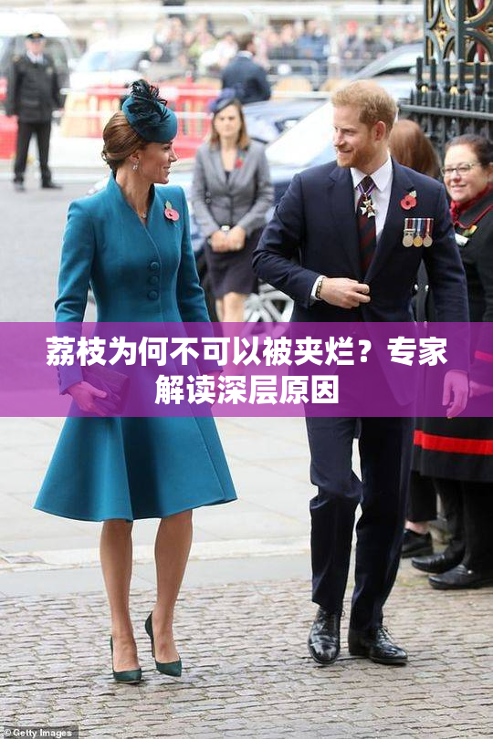 荔枝为何不可以被夹烂？专家解读深层原因