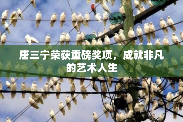 唐三宁荣获重磅奖项，成就非凡的艺术人生