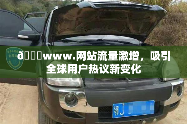 🔞www.网站流量激增，吸引全球用户热议新变化