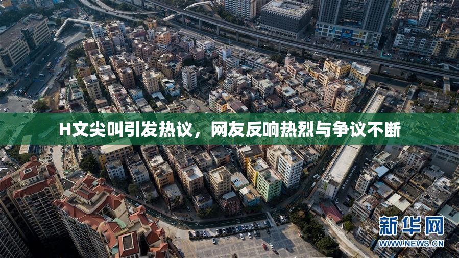 H文尖叫引发热议，网友反响热烈与争议不断