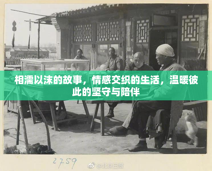 相濡以沫的故事，情感交织的生活，温暖彼此的坚守与陪伴