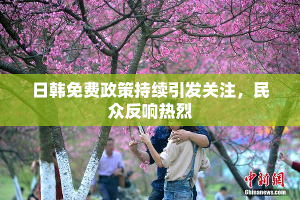 日韩免费政策持续引发关注，民众反响热烈