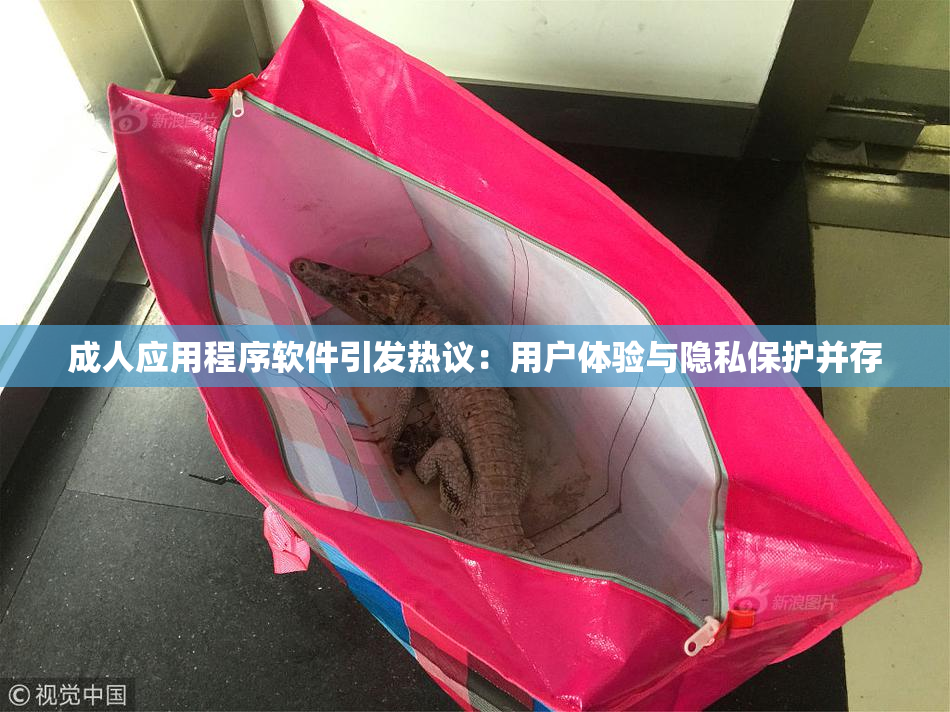 成人应用程序软件引发热议：用户体验与隐私保护并存