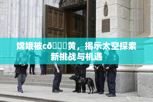 嫦娥被c🔞黄，揭示太空探索新挑战与机遇