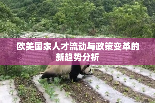 欧美国家人才流动与政策变革的新趋势分析