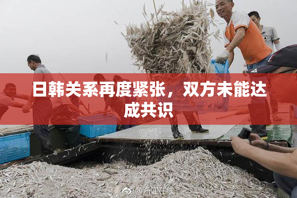 日韩关系再度紧张，双方未能达成共识