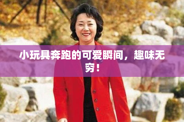 小玩具奔跑的可爱瞬间，趣味无穷！