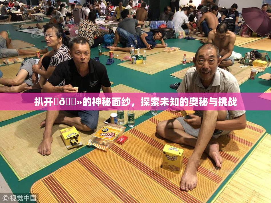 扒开‌🐻的神秘面纱，探索未知的奥秘与挑战