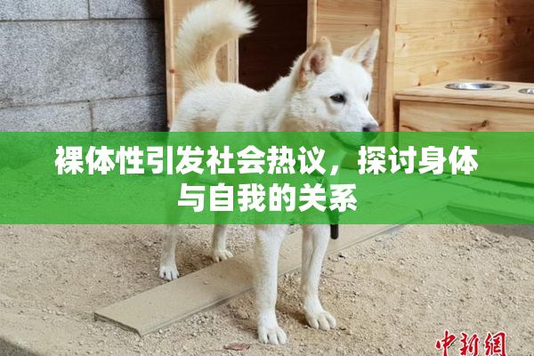 裸体性引发社会热议，探讨身体与自我的关系