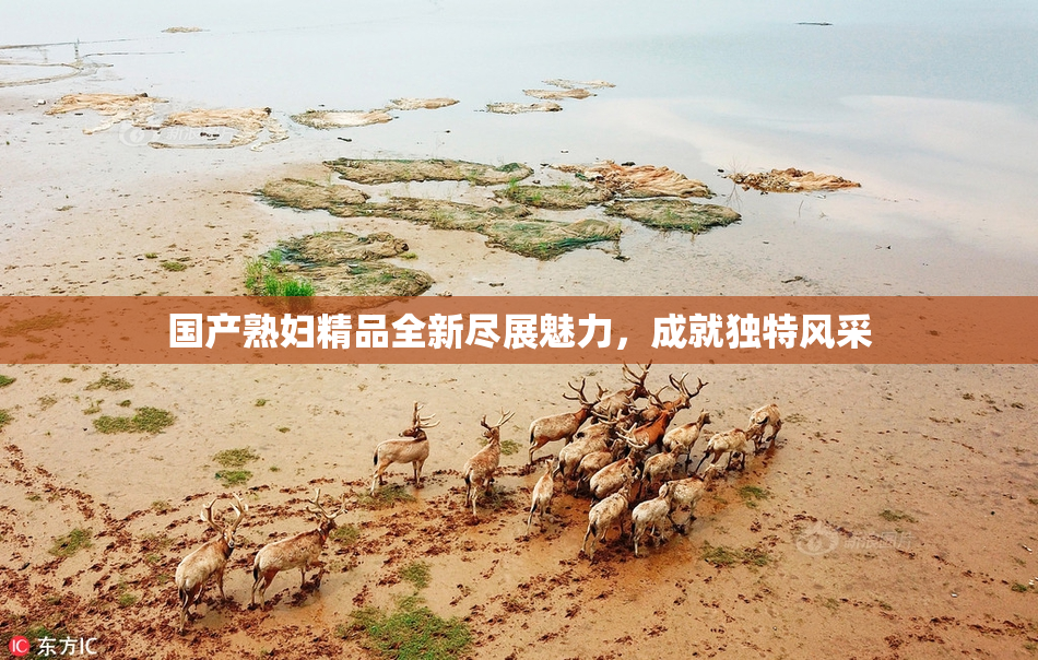 国产熟妇精品全新尽展魅力，成就独特风采