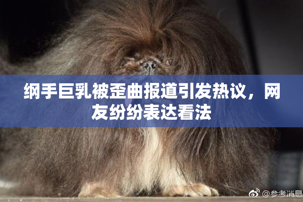 纲手巨乳被歪曲报道引发热议，网友纷纷表达看法