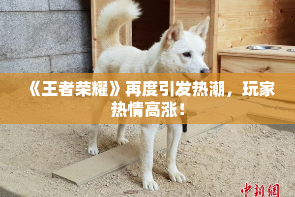 《王者荣耀》再度引发热潮，玩家热情高涨！