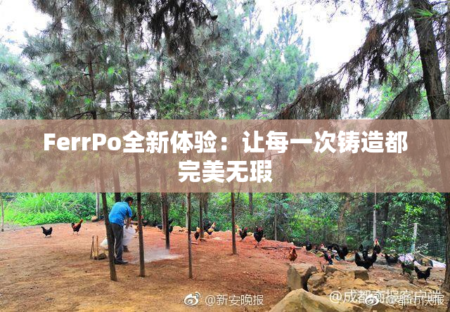 FerrPo全新体验：让每一次铸造都完美无瑕