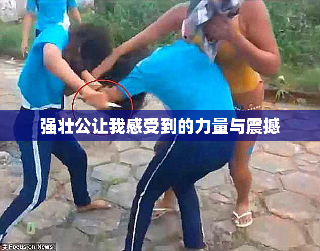 强壮公让我感受到的力量与震撼