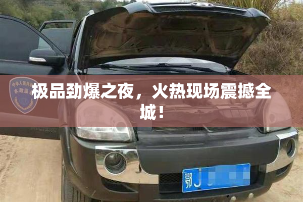极品劲爆之夜，火热现场震撼全城！