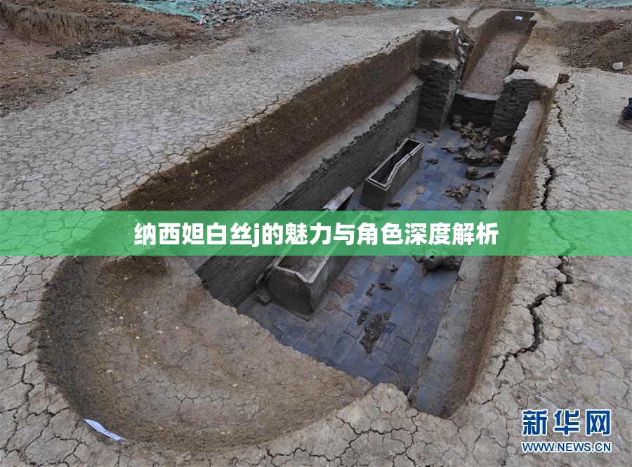 纳西妲白丝j的魅力与角色深度解析