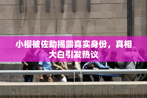 小樱被佐助揭露真实身份，真相大白引发热议