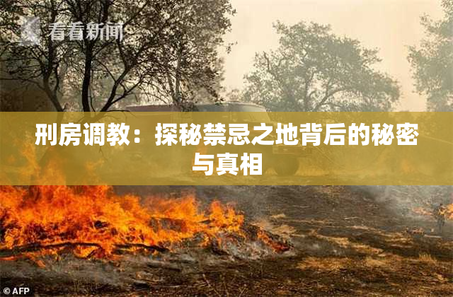 刑房调教：探秘禁忌之地背后的秘密与真相