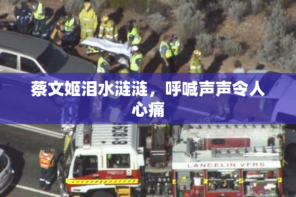 蔡文姬泪水涟涟，呼喊声声令人心痛