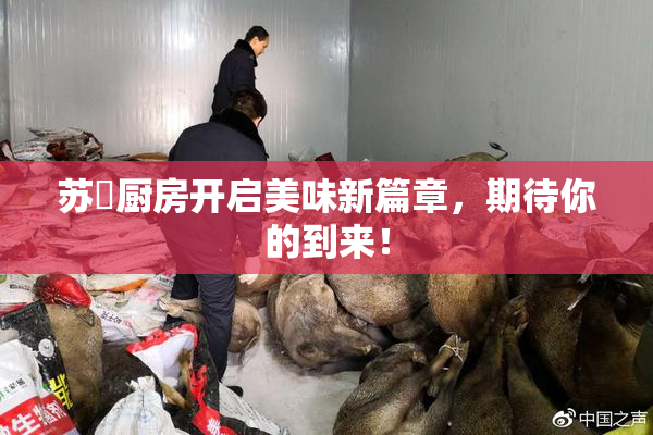 苏玥厨房开启美味新篇章，期待你的到来！