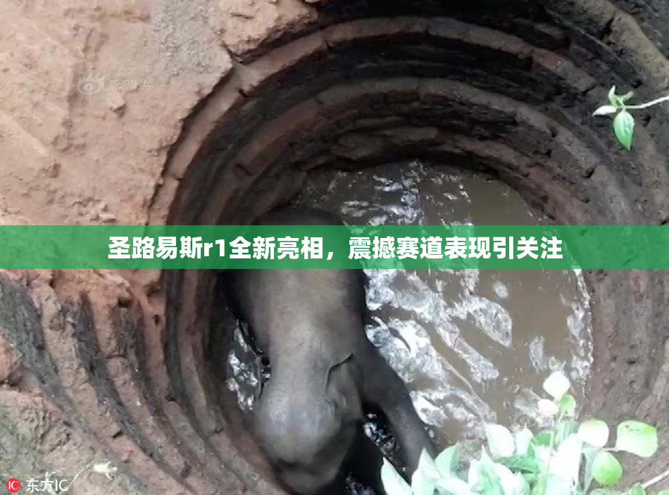 圣路易斯r1全新亮相，震撼赛道表现引关注