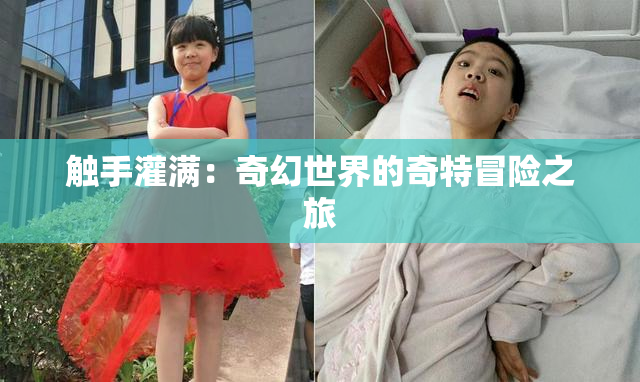 触手灌满：奇幻世界的奇特冒险之旅