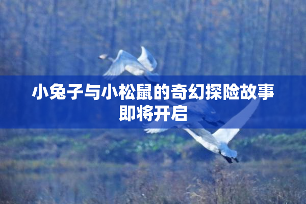 小兔子与小松鼠的奇幻探险故事即将开启
