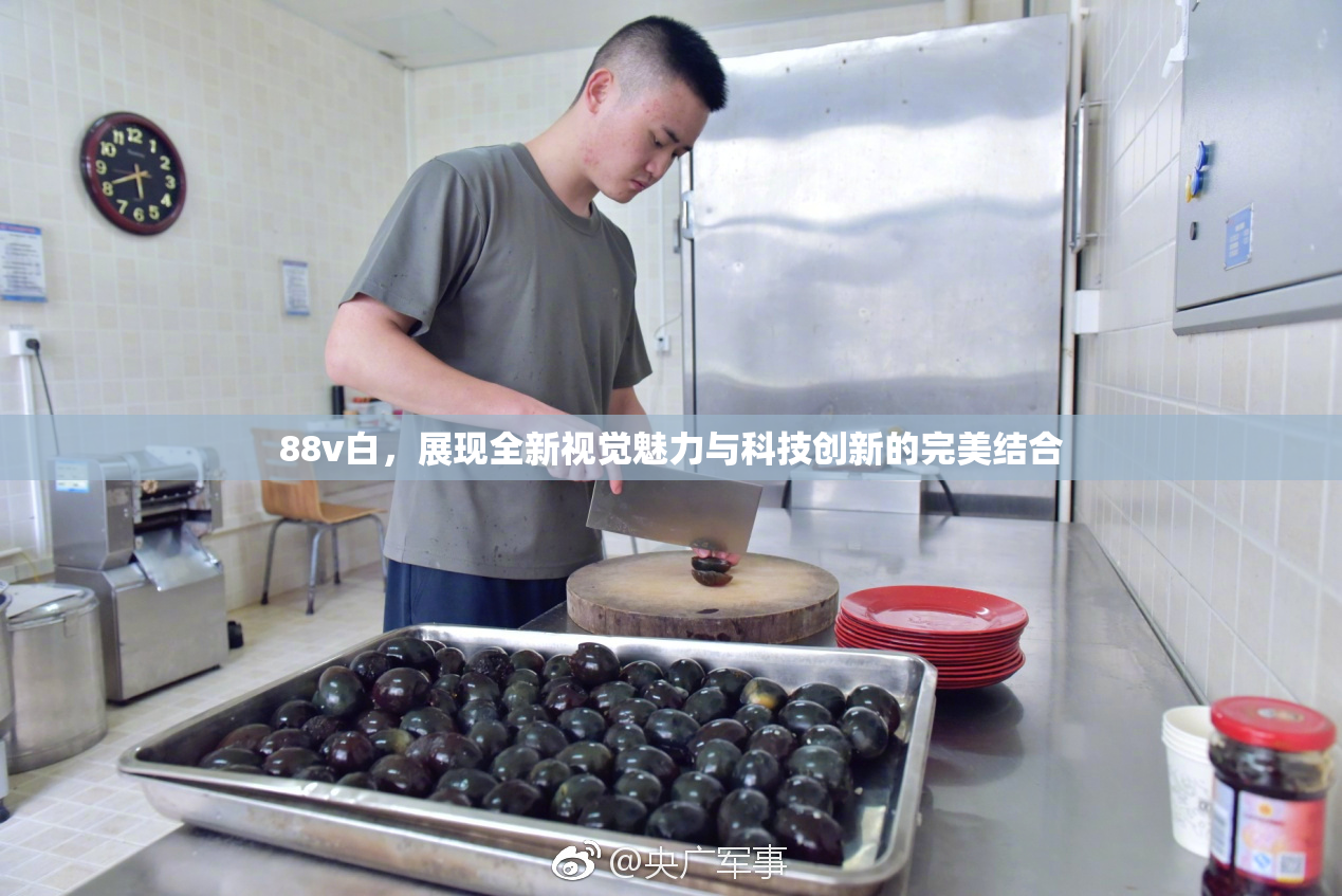 88v白，展现全新视觉魅力与科技创新的完美结合