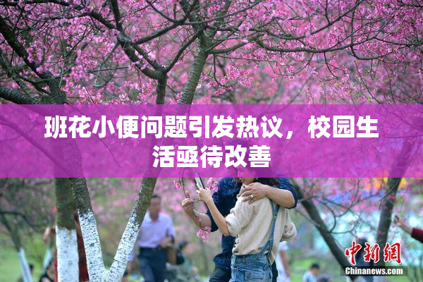 班花小便问题引发热议，校园生活亟待改善