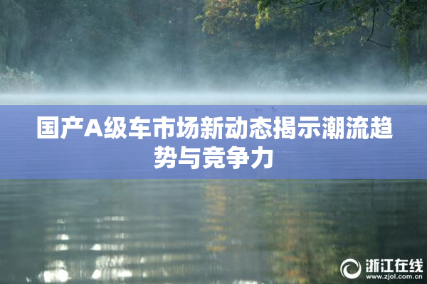 国产A级车市场新动态揭示潮流趋势与竞争力