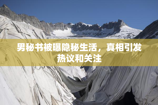 男秘书被曝隐秘生活，真相引发热议和关注