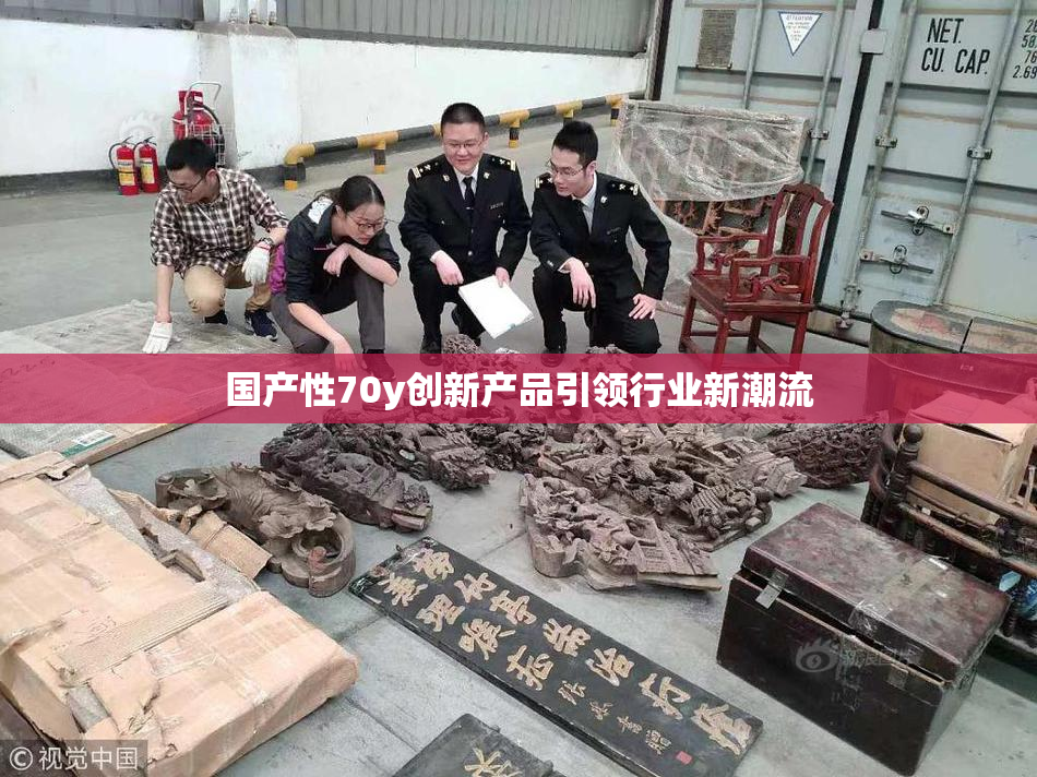国产性70y创新产品引领行业新潮流