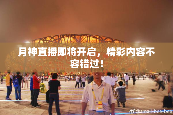 月神直播即将开启，精彩内容不容错过！