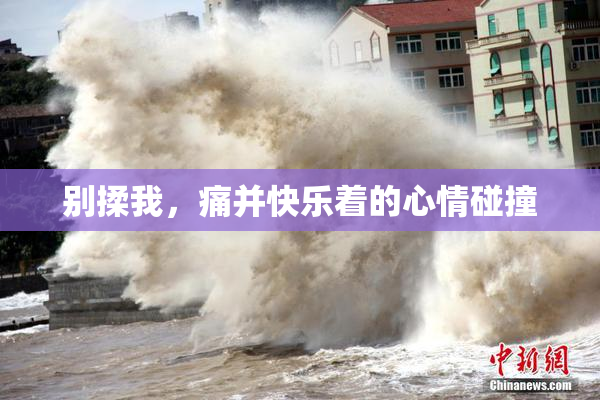 别揉我，痛并快乐着的心情碰撞