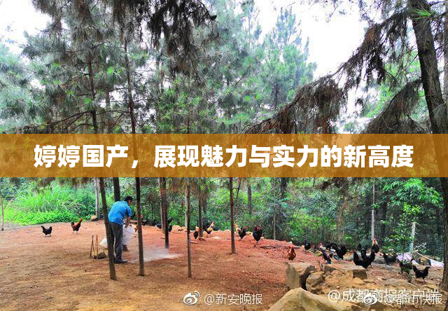 婷婷国产，展现魅力与实力的新高度