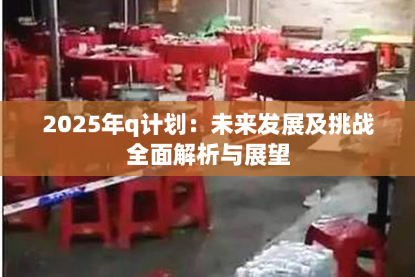 2025年q计划：未来发展及挑战全面解析与展望
