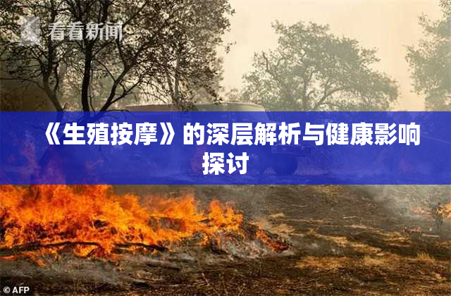 《生殖按摩》的深层解析与健康影响探讨
