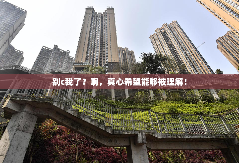 别c我了？啊，真心希望能够被理解！