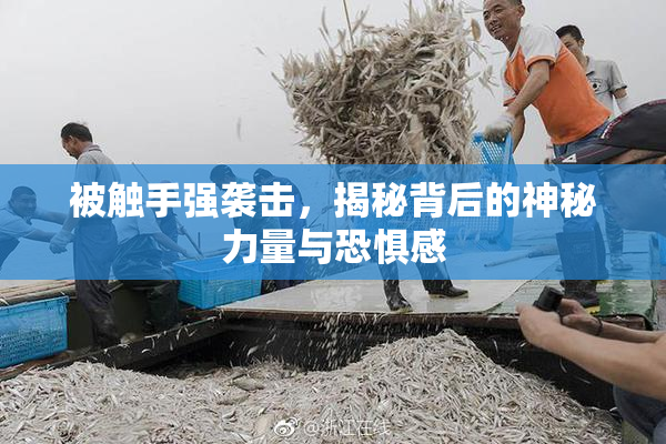 被触手强袭击，揭秘背后的神秘力量与恐惧感