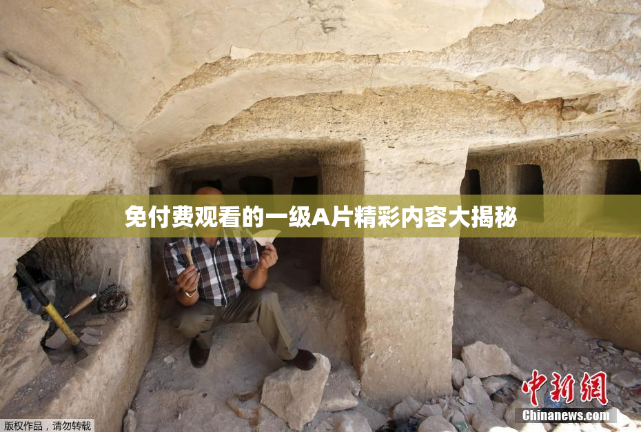 免付费观看的一级A片精彩内容大揭秘