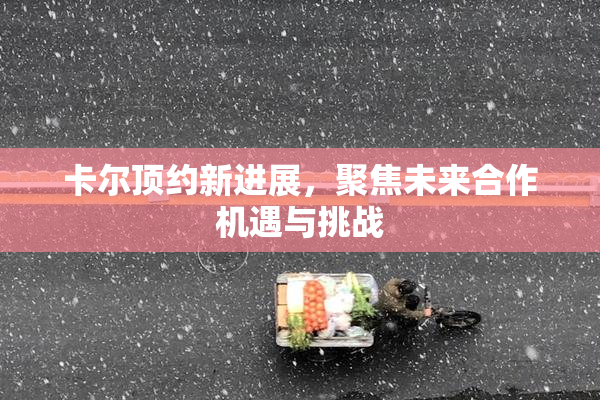 卡尔顶约新进展，聚焦未来合作机遇与挑战