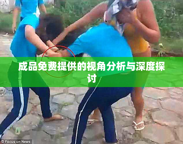 成品免费提供的视角分析与深度探讨