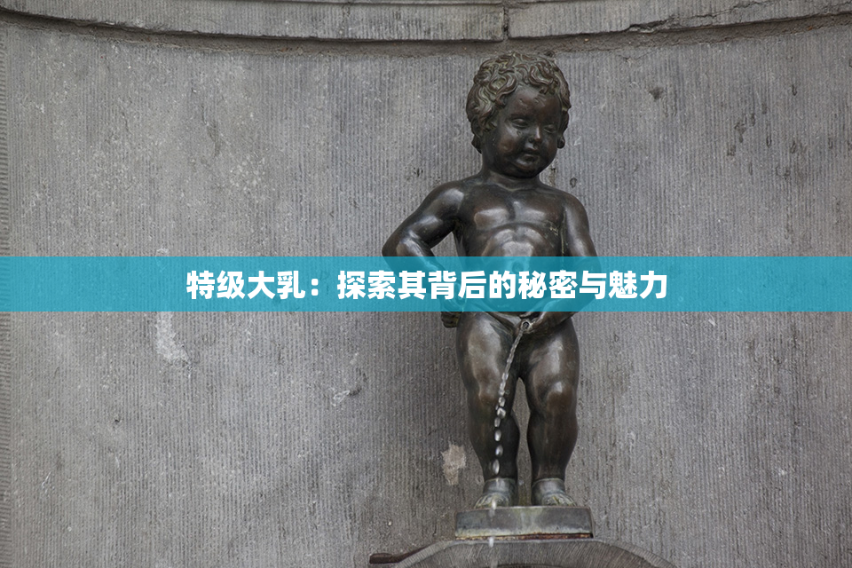 特级大乳：探索其背后的秘密与魅力