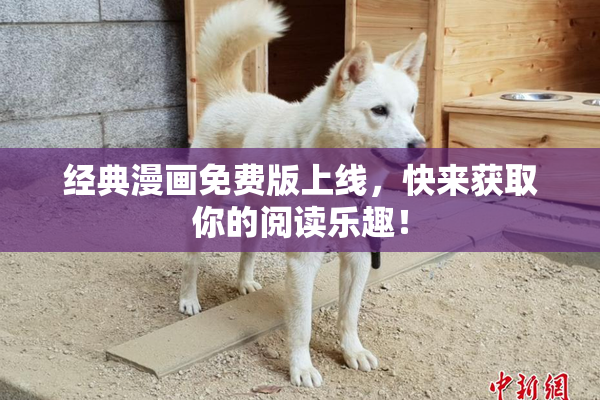 经典漫画免费版上线，快来获取你的阅读乐趣！
