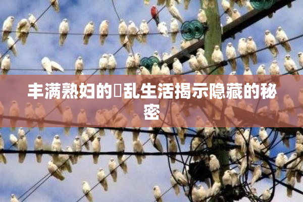 丰满熟妇的婬乱生活揭示隐藏的秘密