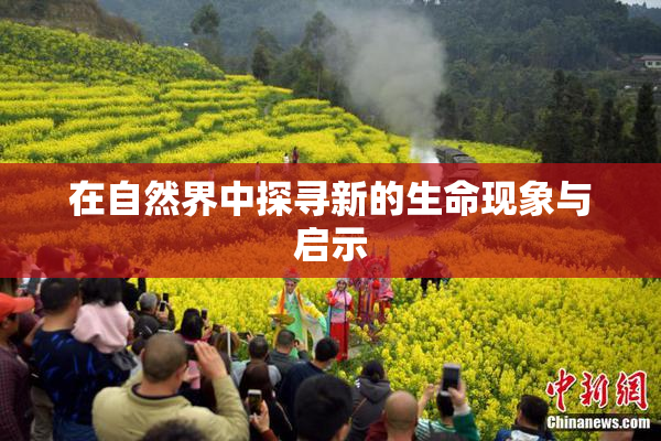在自然界中探寻新的生命现象与启示
