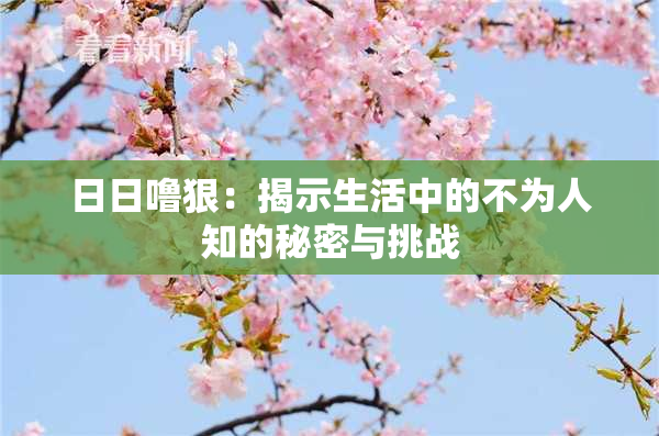 日日噜狠：揭示生活中的不为人知的秘密与挑战